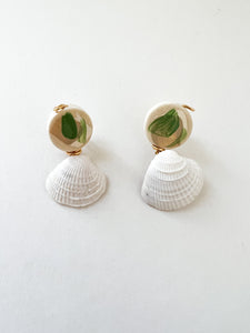 Sage and Tan Shell Earrings